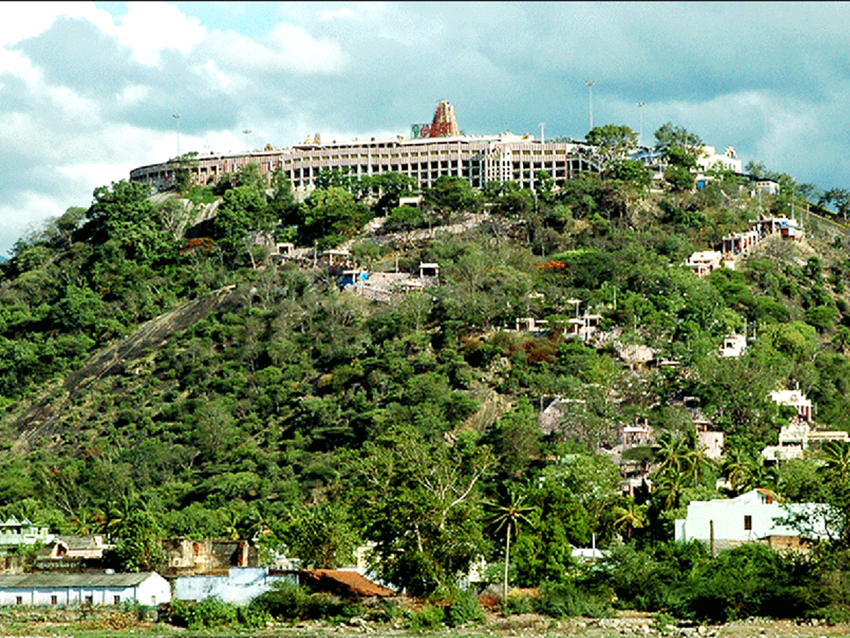 palani-murugan-temple 